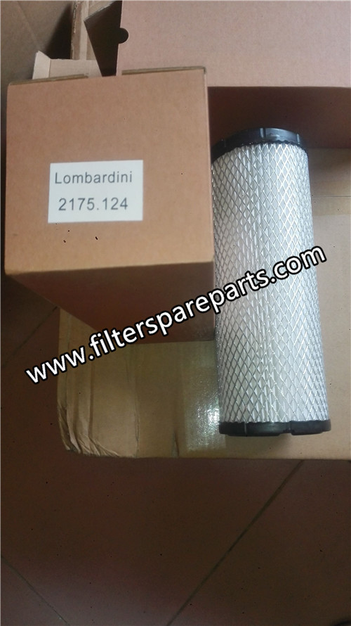 2175.124 LOMBARDINI Air Filter - Click Image to Close